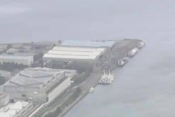 日本东京湾发现疑似残奥会保安浮尸：死因和身份在调查
