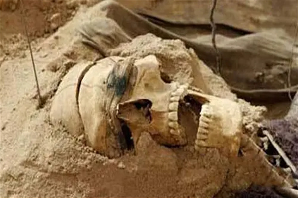 考古史上十大恐怖发现：惊悚恐怖的考古（亨利四世的头颅）