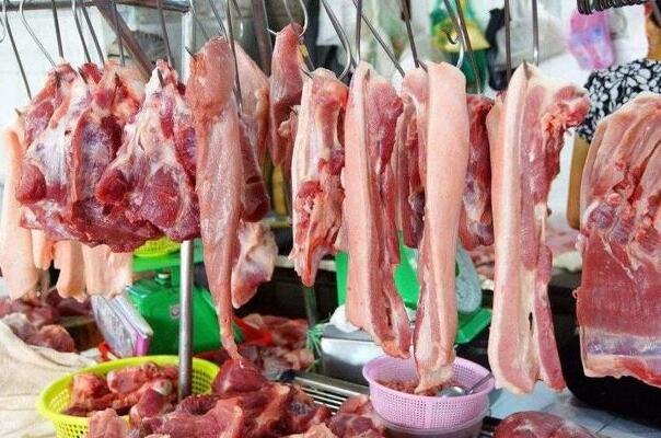非洲猪瘟肉可以吃吗：可以(但是一般不会流入市场)