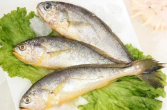 黄花鱼的营养价值：提供优质蛋白(可以预防失眠)