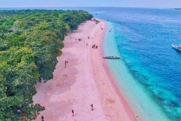 粉红色的沙滩在哪个国家：巴哈马(世界上最性感的海滩)