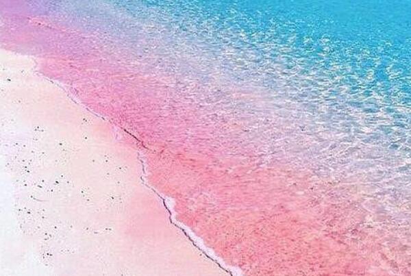 粉红色的沙滩在哪个国家：巴哈马(世界上最性感的海滩)