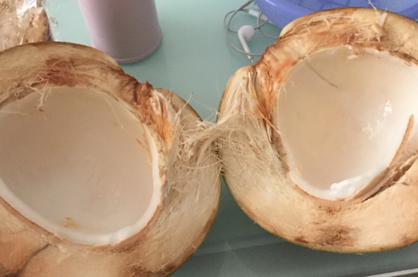 椰子皮能吃吗：椰子皮可以吃(椰子皮的功效与作用)