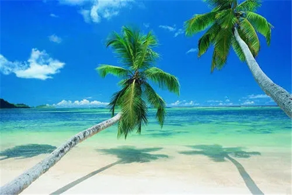 海南岛是我国的第几大岛：第二大岛（陆地平面呈雪梨状）