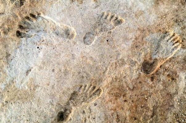 北美最古老人类脚印：23000年前(儿童和青少年脚印)