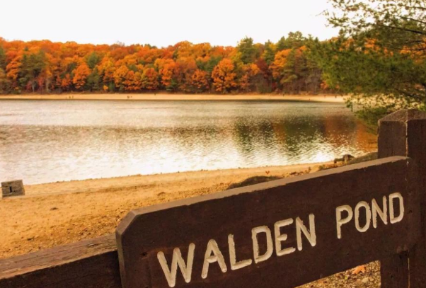瓦尔登湖在哪个国家：在美国马萨诸塞州的康科特城郊