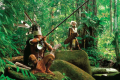 亚马逊雨林有人居住吗：有原始部落存在(不适合人类居住)