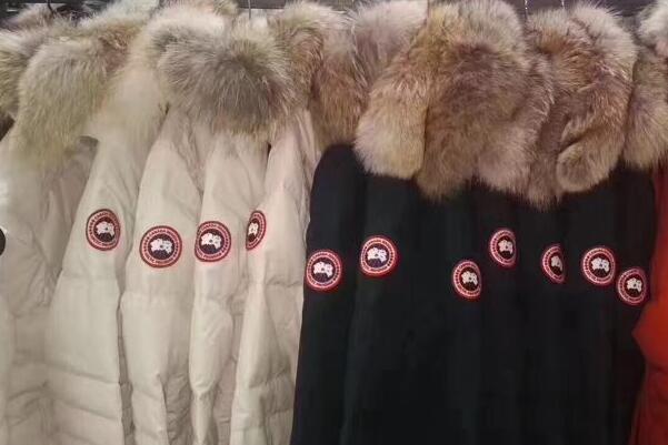 加拿大鹅是什么意思：加拿大的羽绒服品牌(以保暖性著称)
