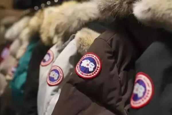 加拿大鹅是什么意思：加拿大的羽绒服品牌(以保暖性著称)