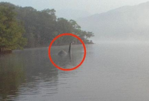 地球上最神秘的生物：尼斯湖水怪(未被证实的生物)
