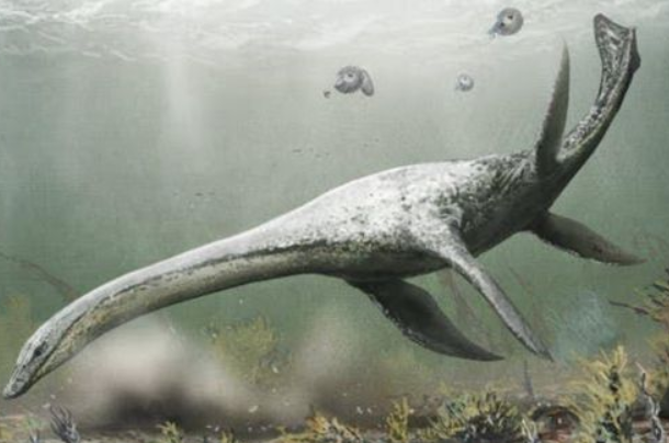 地球上最神秘的生物：尼斯湖水怪(未被证实的生物)