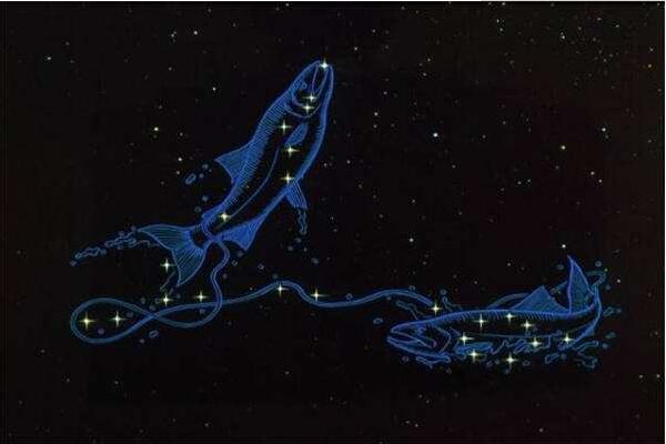 天蝎座和什么星座最配：巨蟹座(投缘和默契)