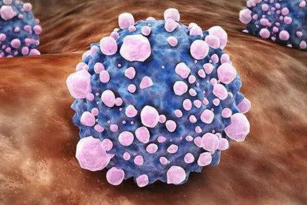 hpv是什么病毒：人类乳头瘤病毒(可导致宫颈癌)
