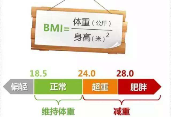 BMI是什么意思：身体质量指数(过胖的危害)