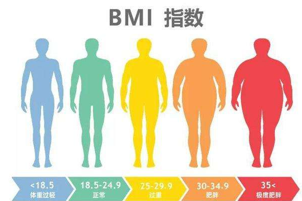 BMI是什么意思：身体质量指数(越胖指数越高)