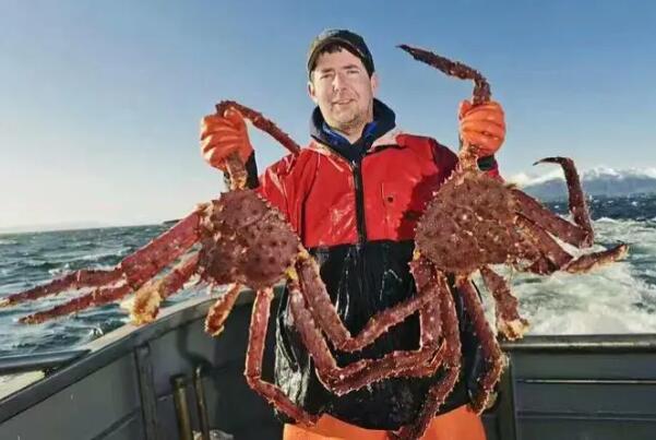 世界上最大的螃蟹排名：第一名为杀人蟹(长达4.2米)