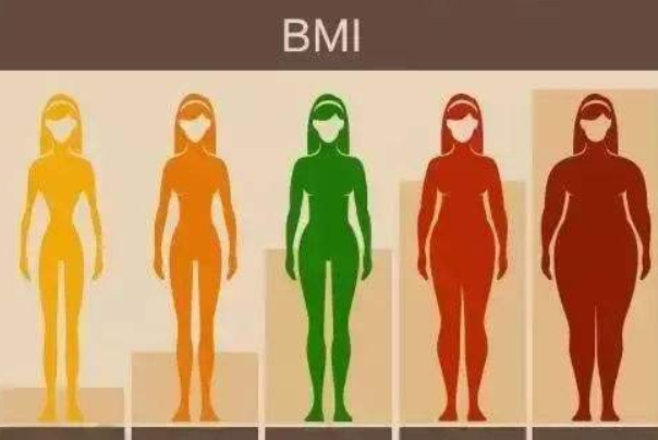 身体质量指数是什么意思：人体胖瘦程度指数(健康标准)