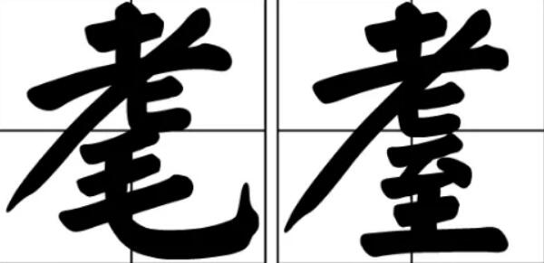 鼋鼍之年怎么读：yuán tuó zhī nián，鼋鼍指巨鳖和猪婆龙