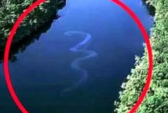 中国最吓人的一条巨蛇：五十米的巨蟒(将目击者吓晕)