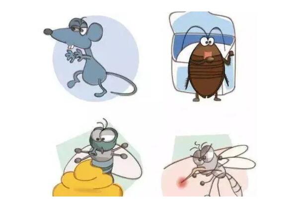 四害是指哪4种:苍蝇/老鼠/蟑螂/蚊子(传播疾病且繁殖强)