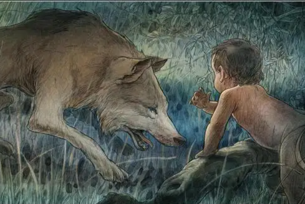 印度的狼孩卡玛拉：被狼哺育的女孩(在16岁时去世)