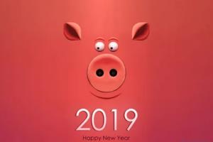 2019年属什么生肖：属猪，该年出生宝宝人缘很好
