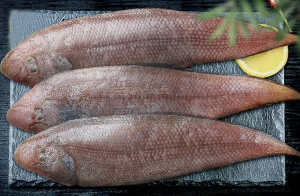 巴沙鱼与龙利鱼的区别：品种/体型不同(龙利鱼价格较高)